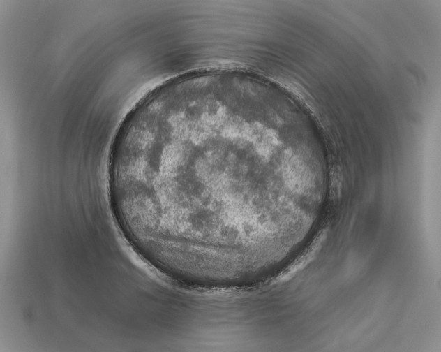 X0000112771038200909101547