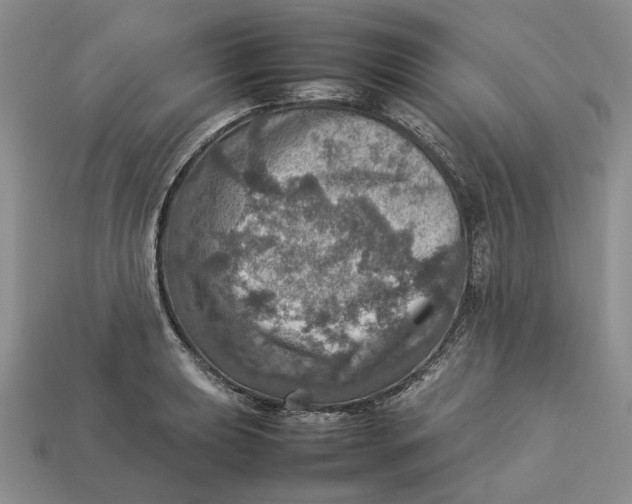 X0000112771039200909101547