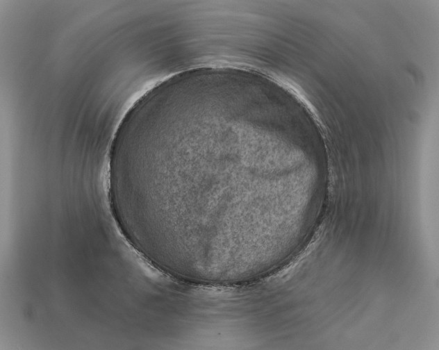 X0000112771040200909101547