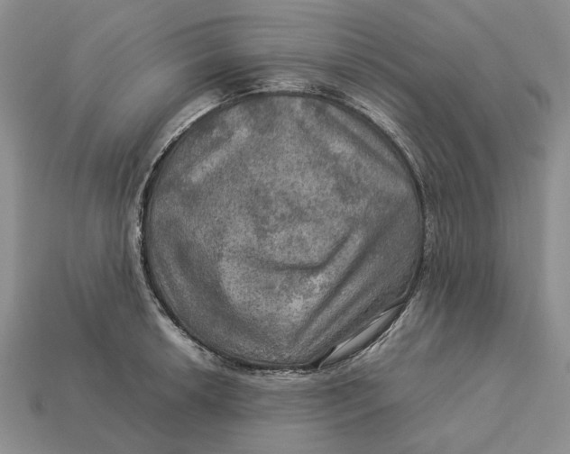 X0000112771042200909101547