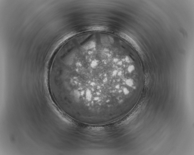 X0000112771043200909101547