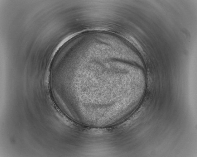 X0000112771044200909101547