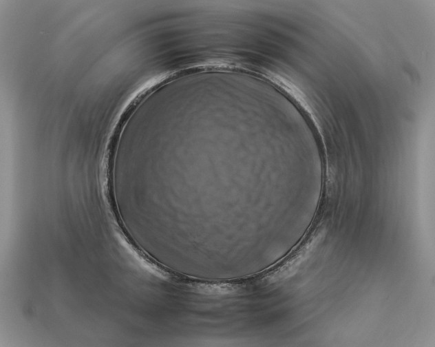 X0000112771045200909101547