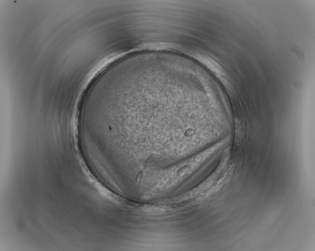 X0000112771046200909101547