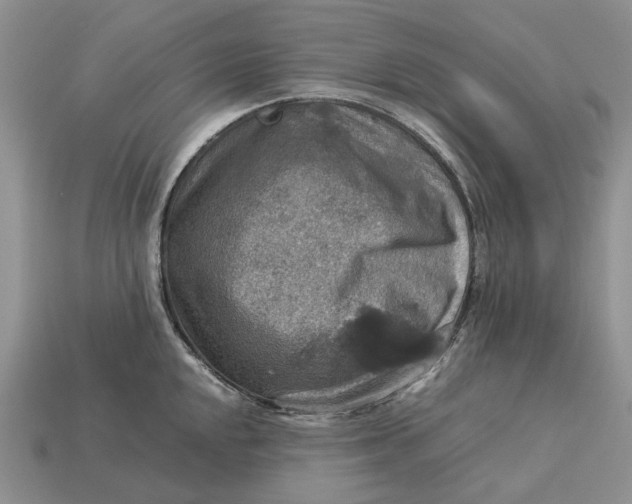 X0000112771048200909101547