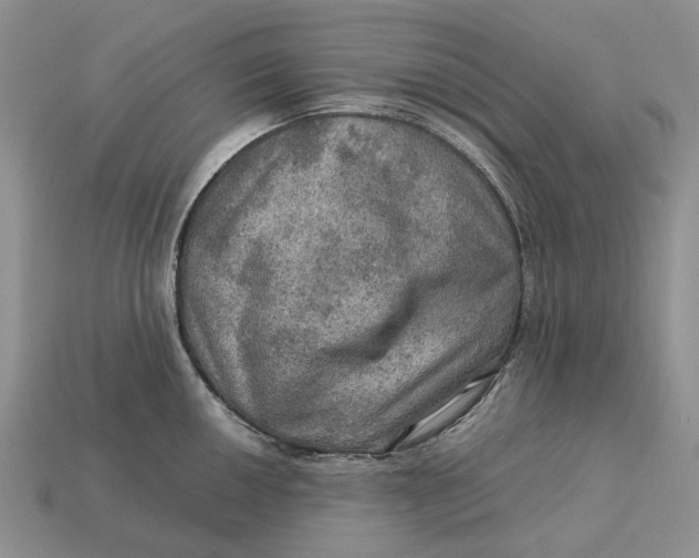 X0000112771050200909101547