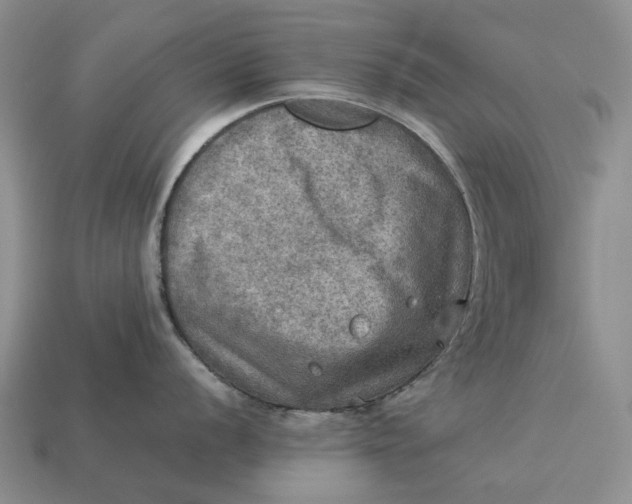 X0000112771056200909101547