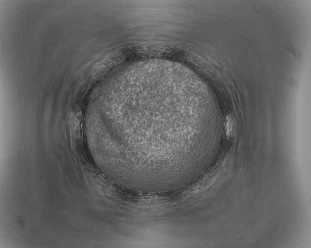 X0000112771059200909101546