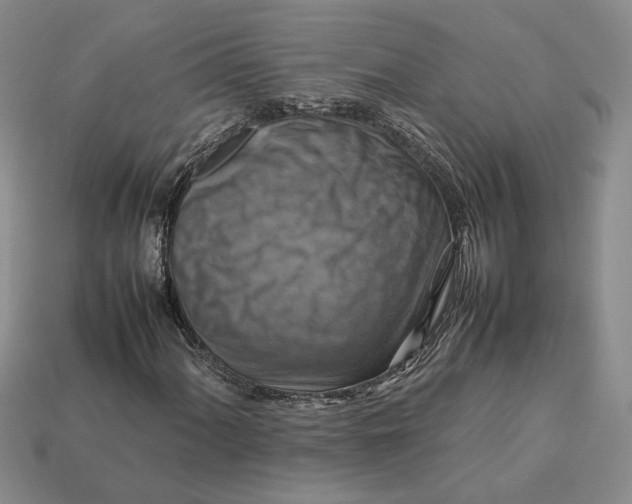 X0000112771060200909101546