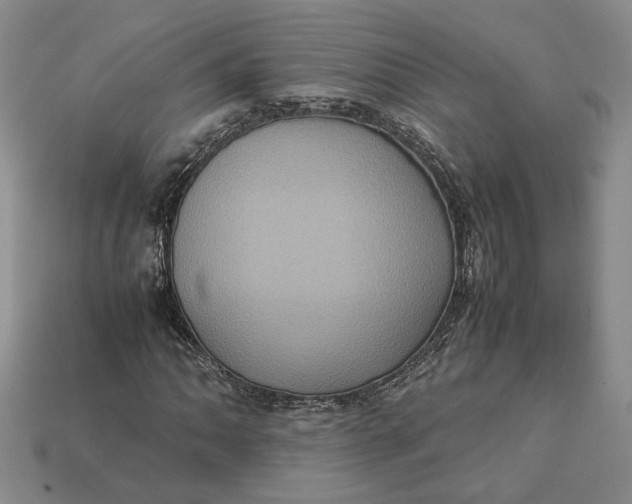 X0000112771062200909101546