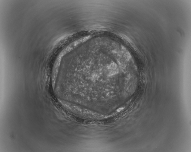 X0000112771063200909101546