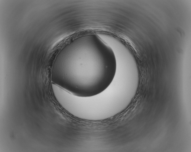 X0000112771064200909101546