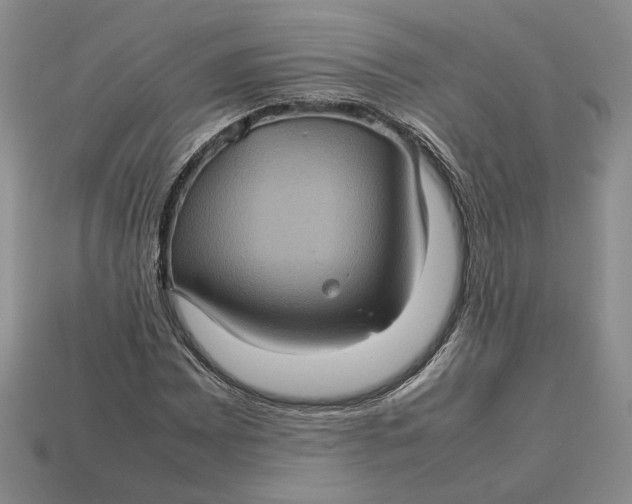 X0000112771065200909101546