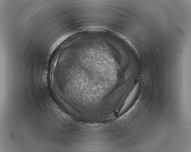 X0000112771066200909101546