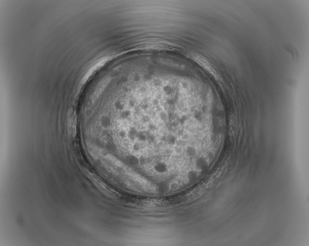 X0000112771067200909101546