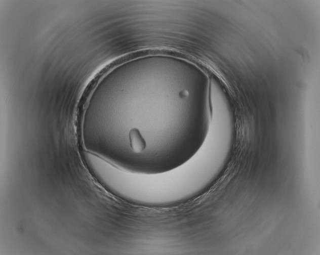 X0000112771068200909101546