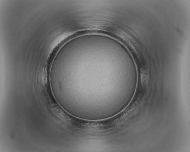 X0000112771069200909101546