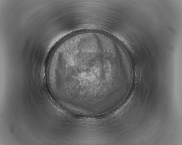 X0000112771070200909101546