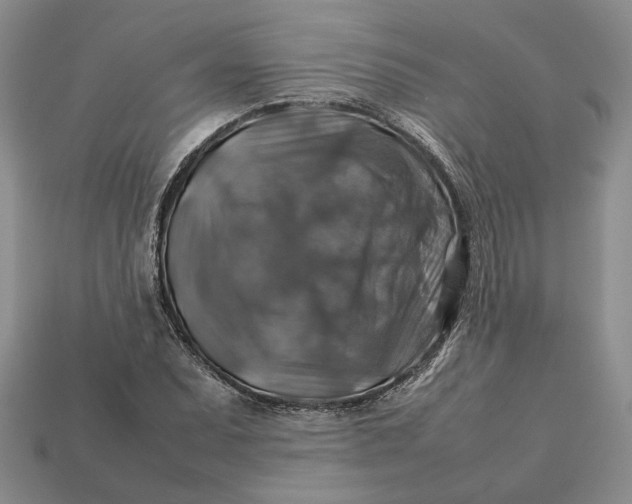 X0000112771071200909101546