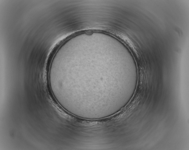 X0000112771072200909101546