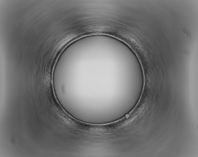 X0000112771073200909101546