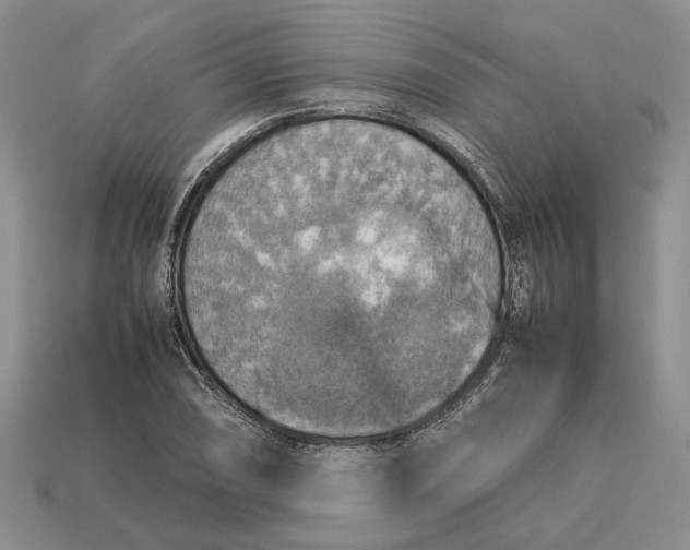 X0000112771074200909101546