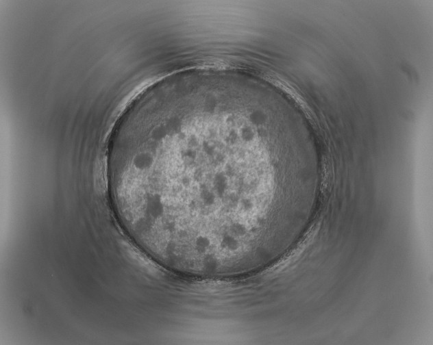 X0000112771075200909101546