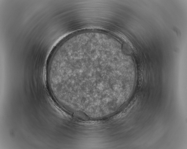 X0000112771076200909101546