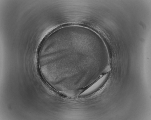 X0000112771077200909101546