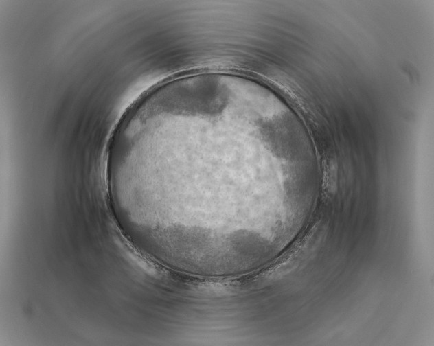 X0000112771078200909101546