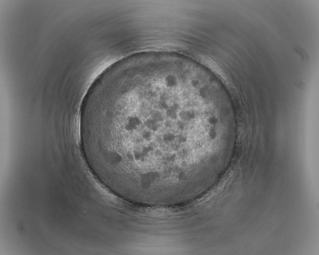 X0000112771079200909101546