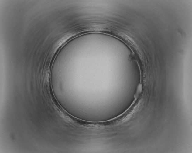 X0000112771081200909101546