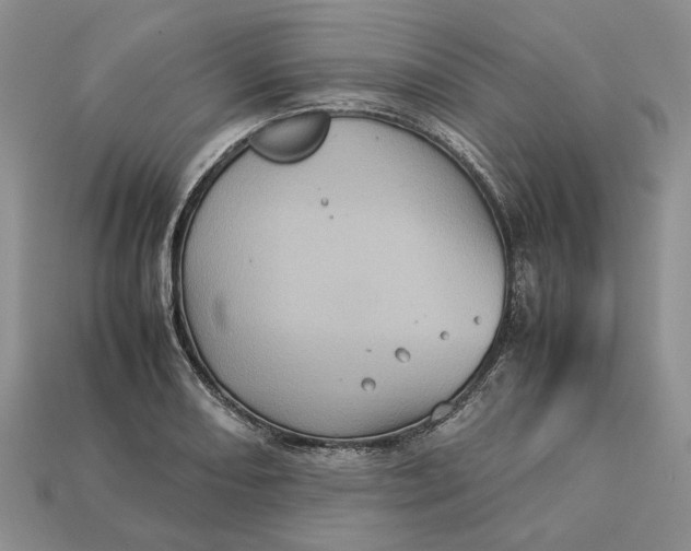 X0000112771082200909101546