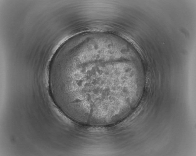 X0000112771083200909101546