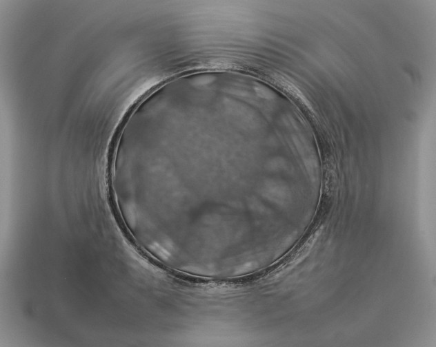 X0000112771087200909101546