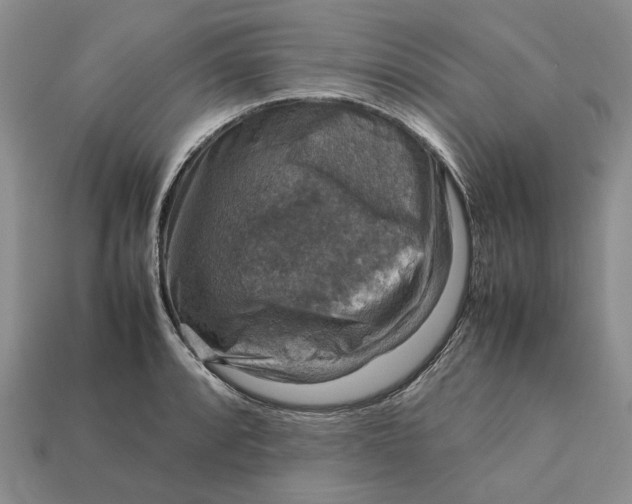 X0000112771088200909101546