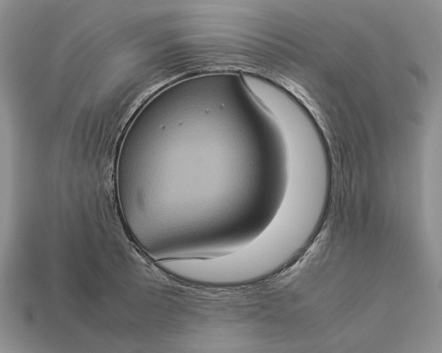 X0000112771089200909101546