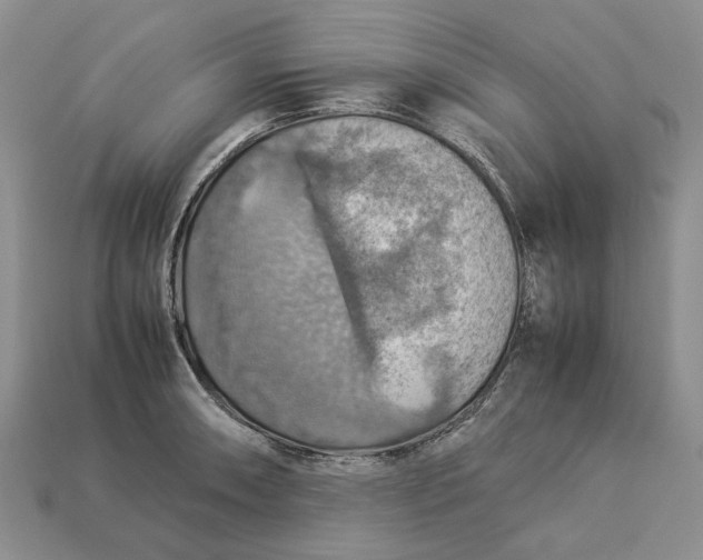 X0000112771090200909101546