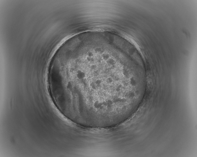 X0000112771091200909101546