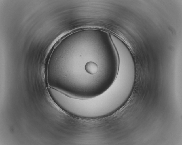 X0000112771092200909101546