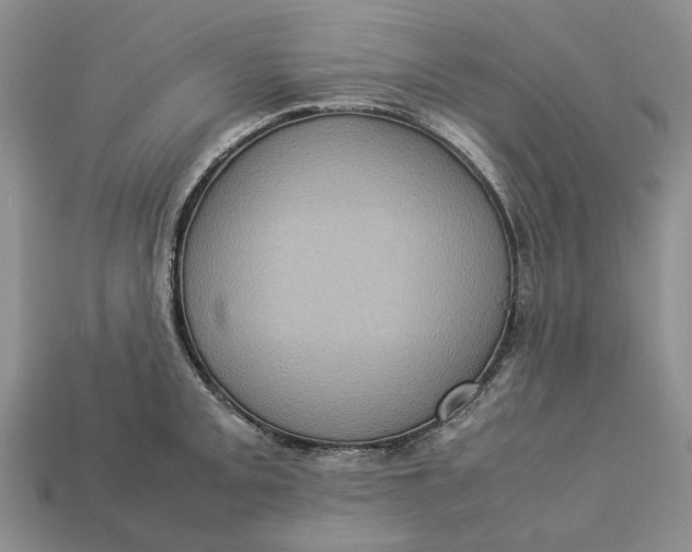 X0000112771093200909101546