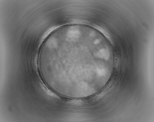 X0000112771094200909101546