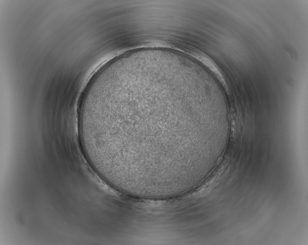 X0000112771096200909101546