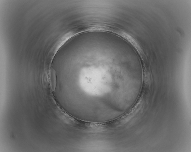 X0000112771097200909101546