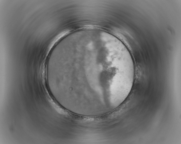 X0000112771098200909101546