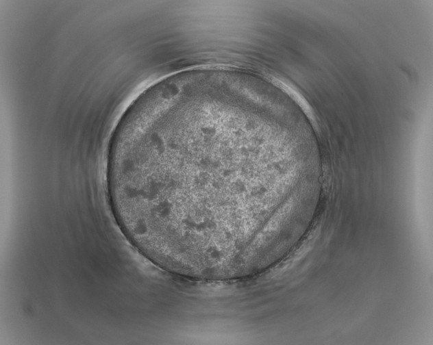 X0000112771099200909101546