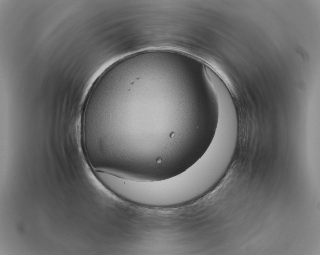 X0000112771100200909101546