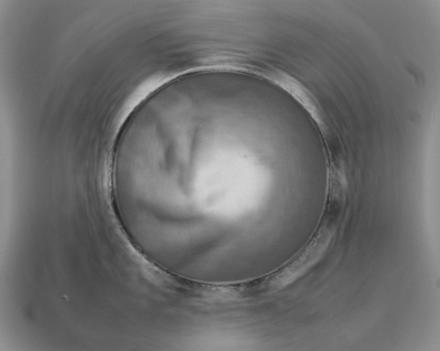 X0000112771101200909101546