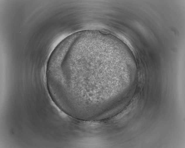 X0000112771103200909101546