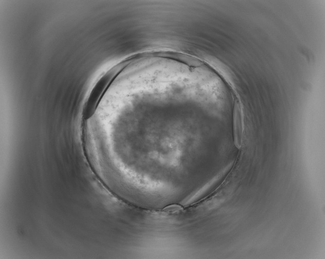 X0000112771104200909101546